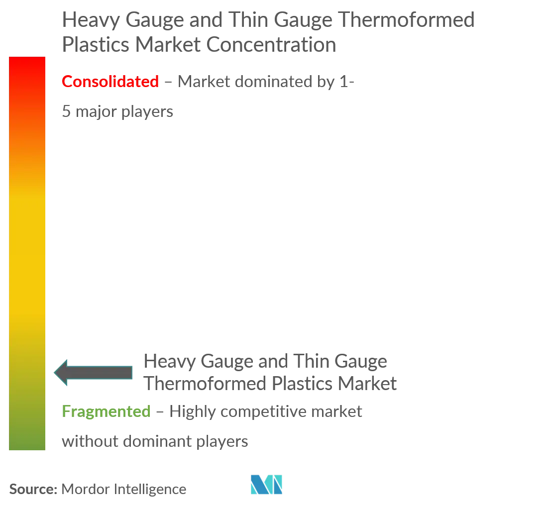 Heavy Gauge and Thin Gauge Thermoformed Plastics Market Concentration