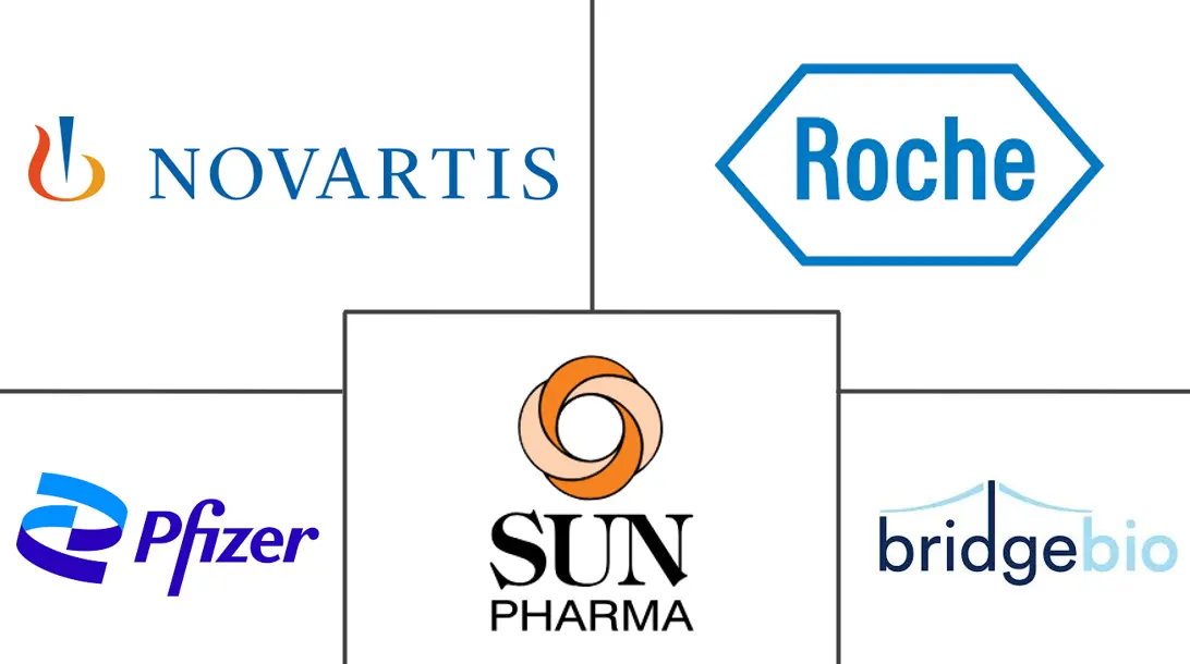Major players in Hedgehog Pathway Inhibitors industry