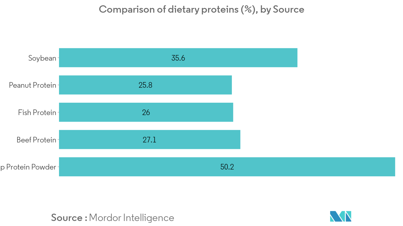 Tendencias clave del mercado de proteína de cáñamo