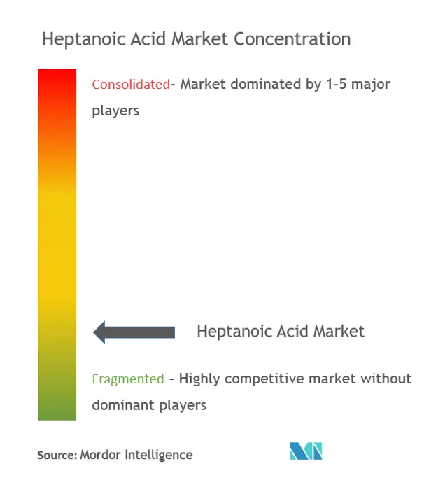 ヘプタン酸市場集中度