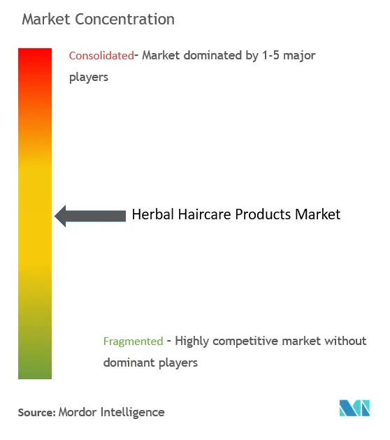 ハーバルヘアケア製品市場の集中度