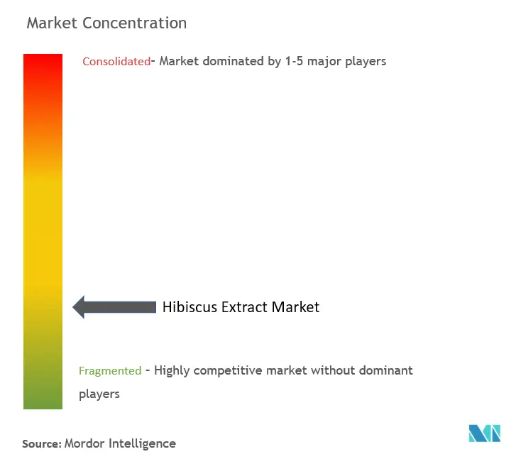 Hibiscus Extract Market Concentration