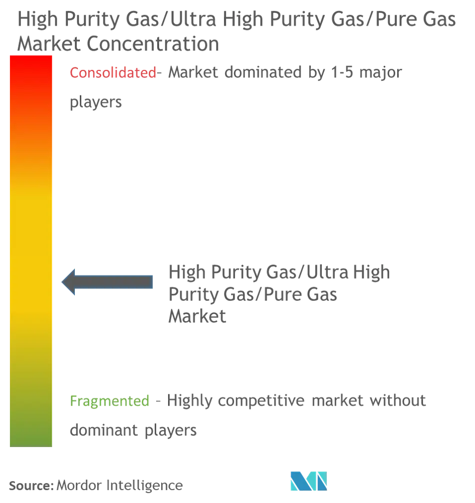 High Purity Gas/Ultra-high Purity Gas/Pure Gas Market Concentration
