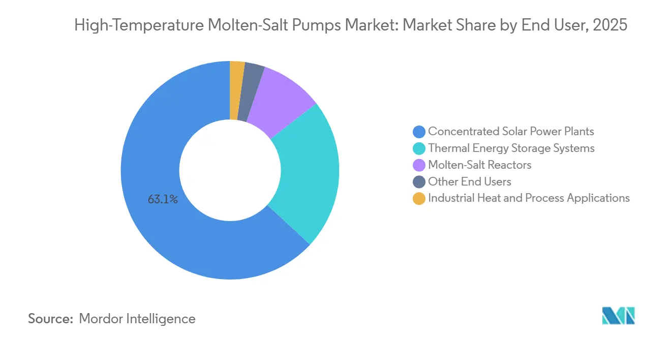 High-Temperature Molten-Salt Pumps Market Share by End User, 2025