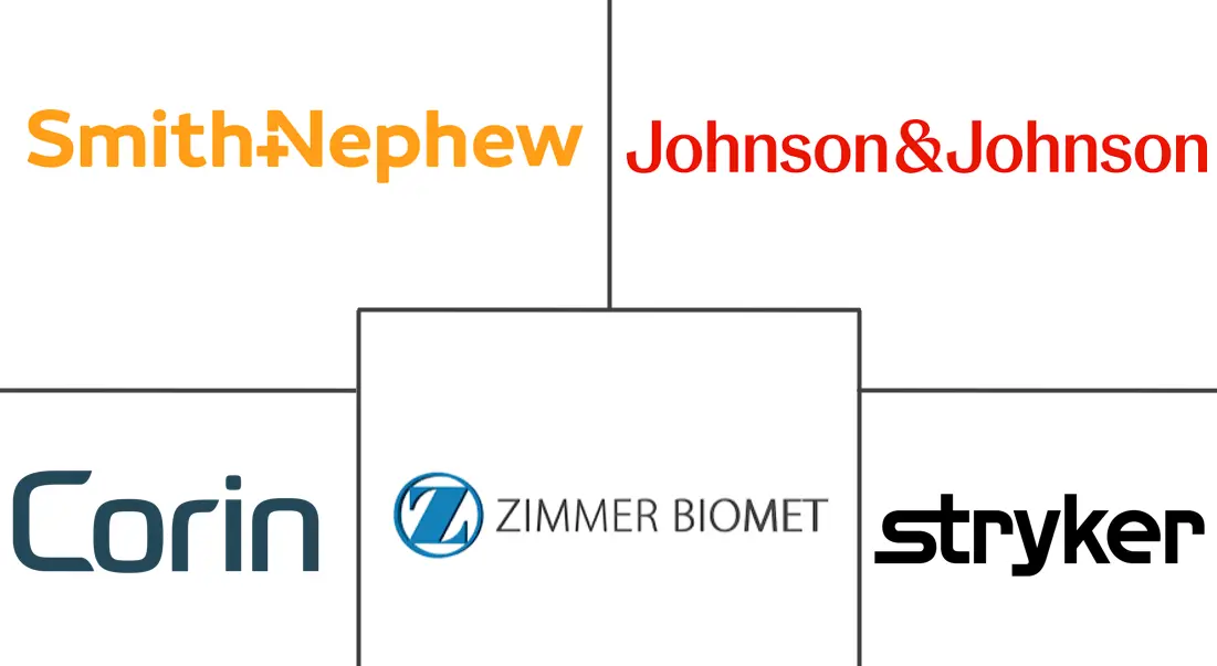 Major players in Hip Resurfacing Implants industry