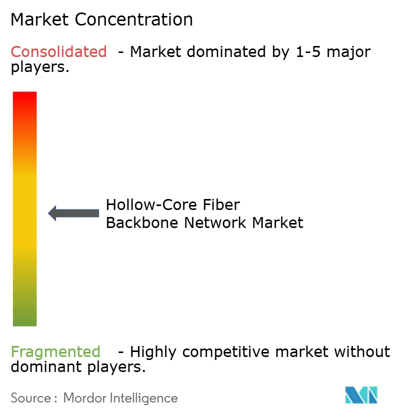 Marktkonzentration im Markt für Hollow-Core-Fiber-Backbone-Netzwerke