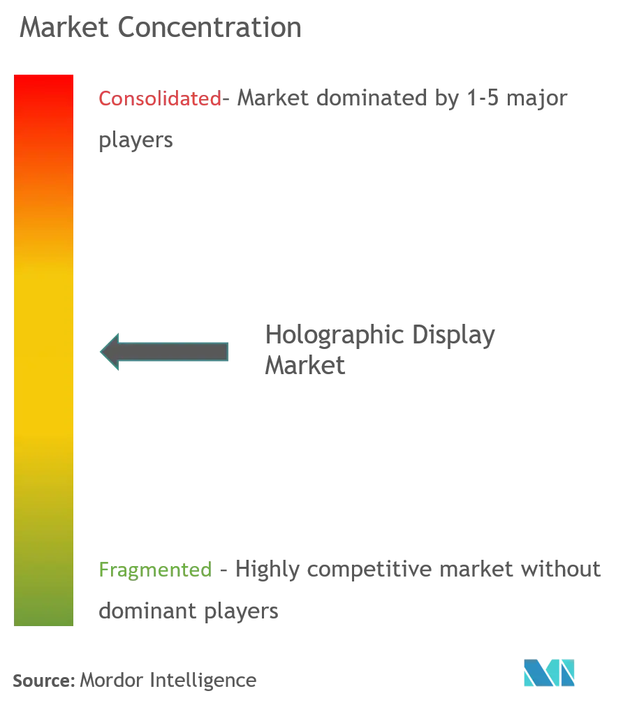 Holographic Display Market Concentration