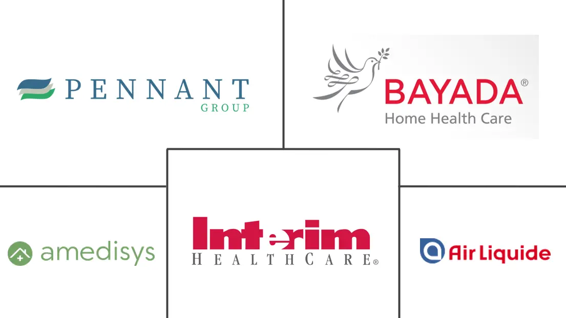 Major players in Home Care Services industry