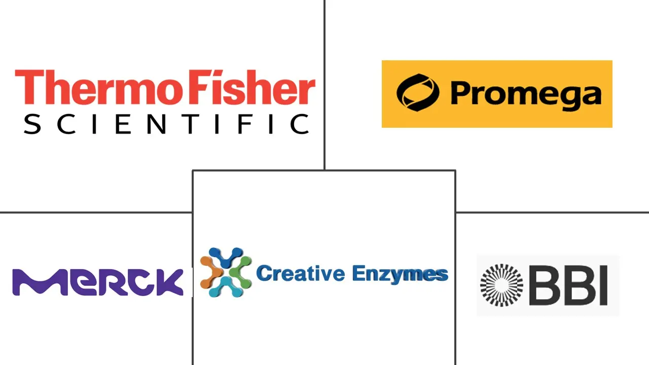 Related Companies Logo