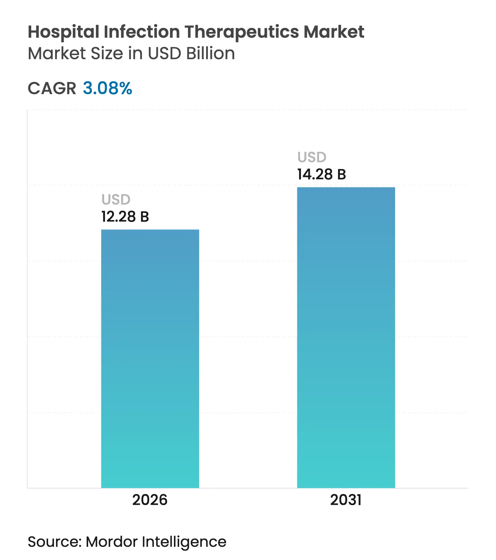 Hospital Infection Therapeutics Market (2025 - 2030)