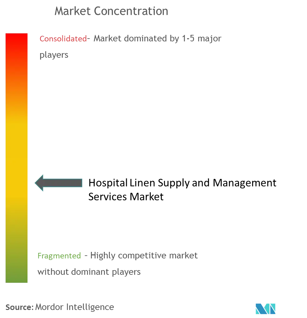 Hospital Linen Supply and Management Services Market Concentration