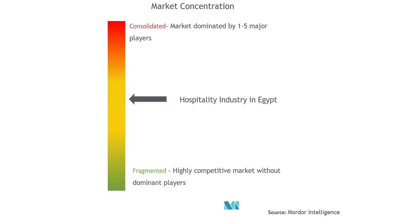 Concentración del mercado hotelero en Egipto