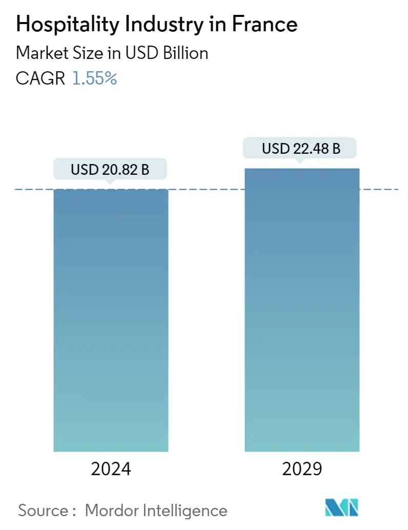 France: digital media revenue by segment