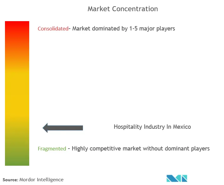 Hospitality Industry In Mexico Market Concentration