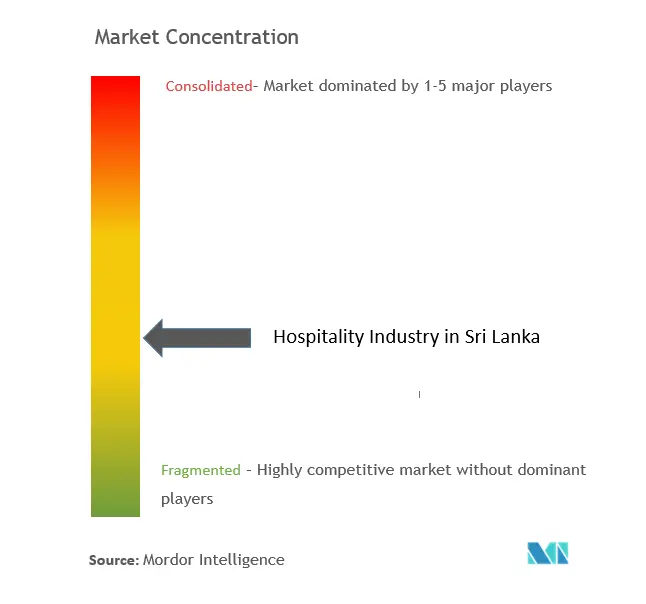 Industria hotelera en Sri LankaConcentración del Mercado