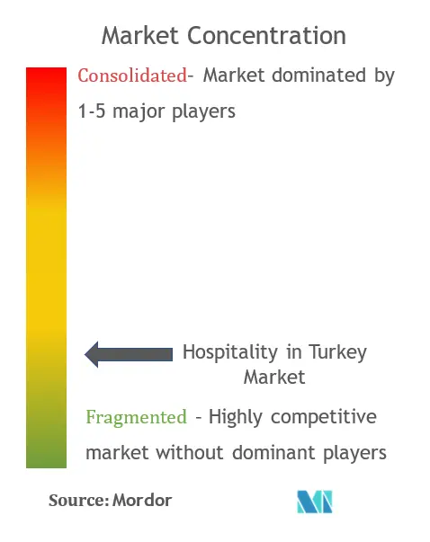 Hospitality Industry In Turkey Market Concentration