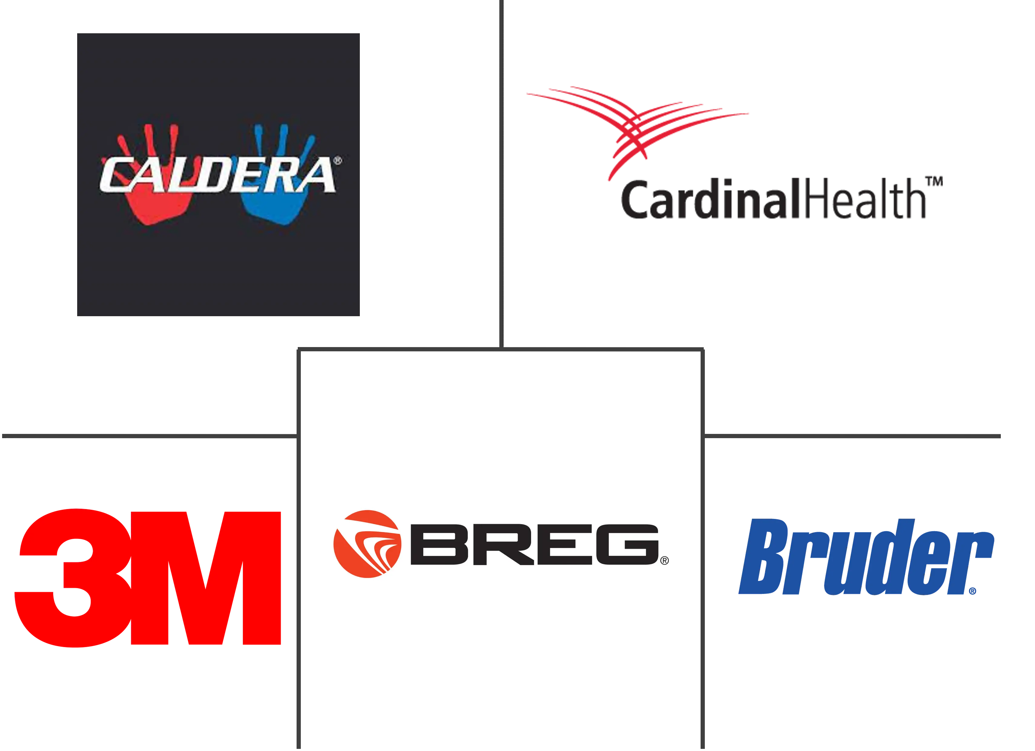Major players in Hot and Cold Therapy Packs industry