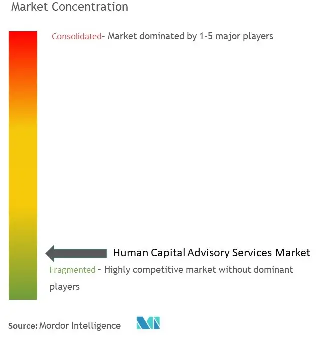 Human Capital Advisory Services Market Concentration