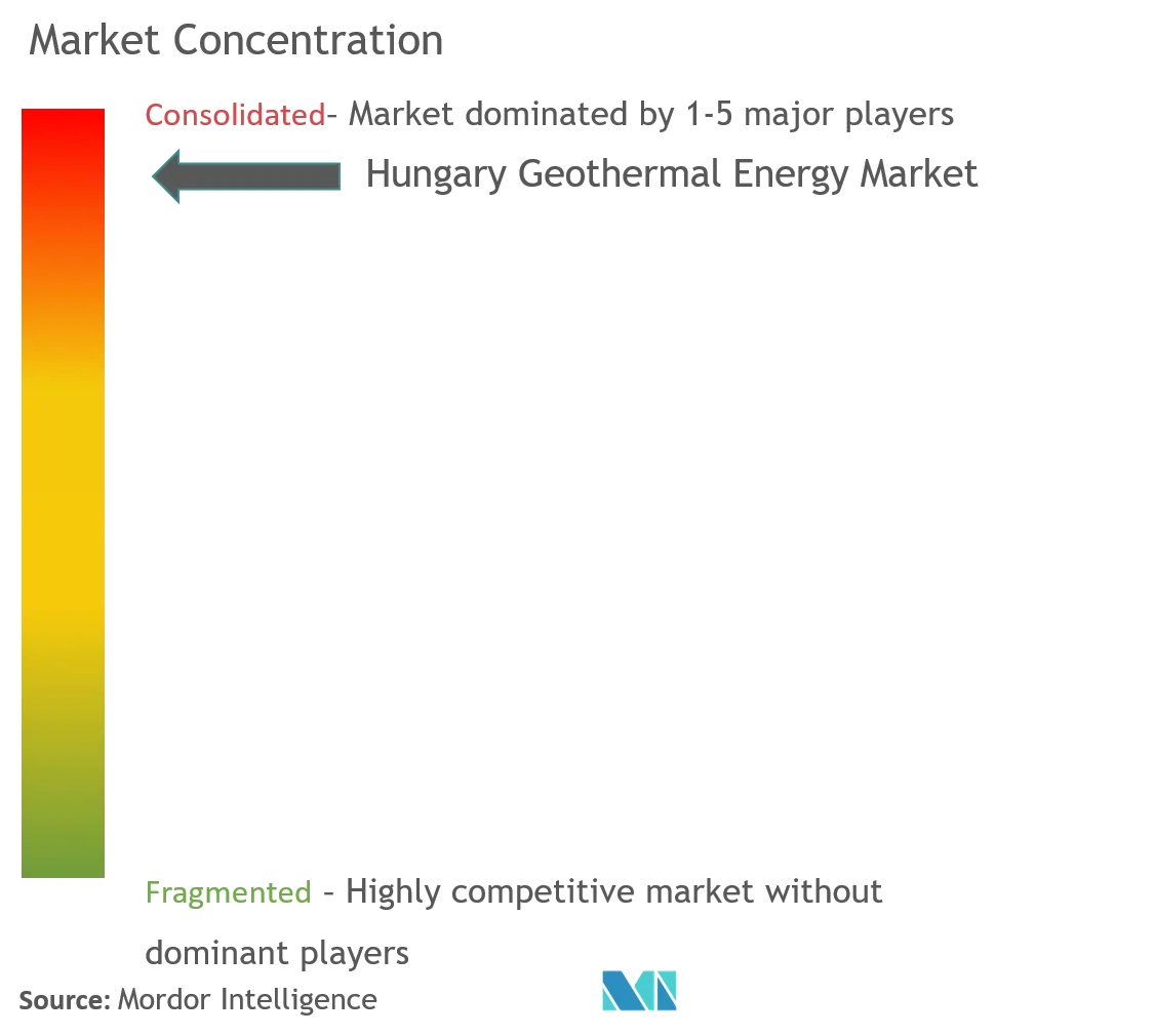 Hungary Geothermal Energy Market Concentration