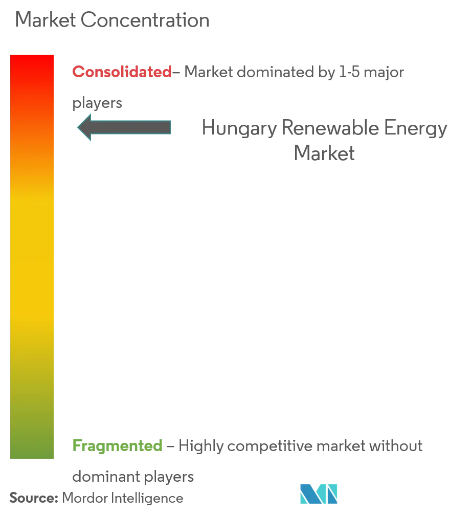 Hungary Renewable Energy Market Concentration