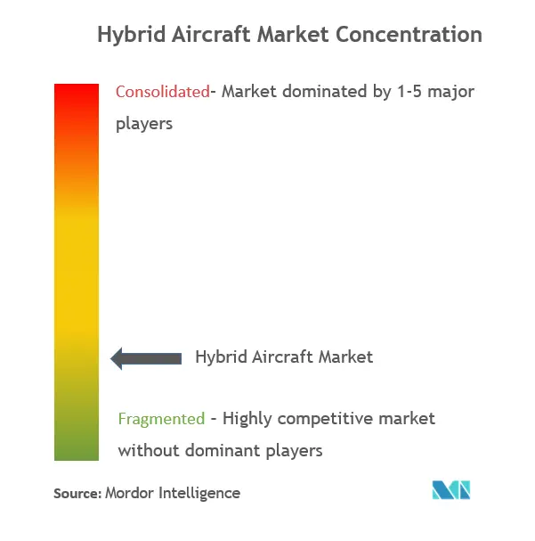Hybrid Aircraft Market Concentration