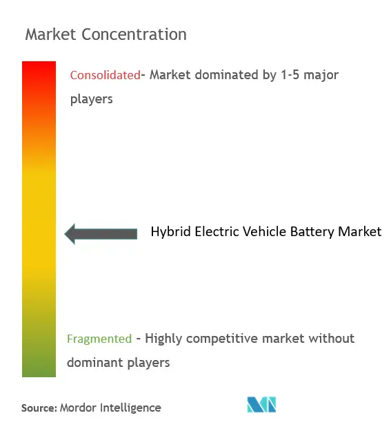 Hybrid Electric Vehicle Battery Market Concentration