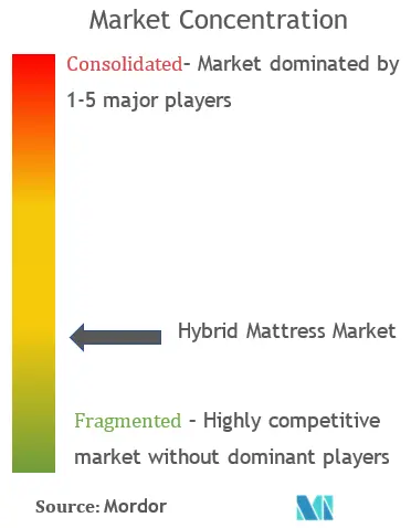 Hybrid Mattress Market Concentration