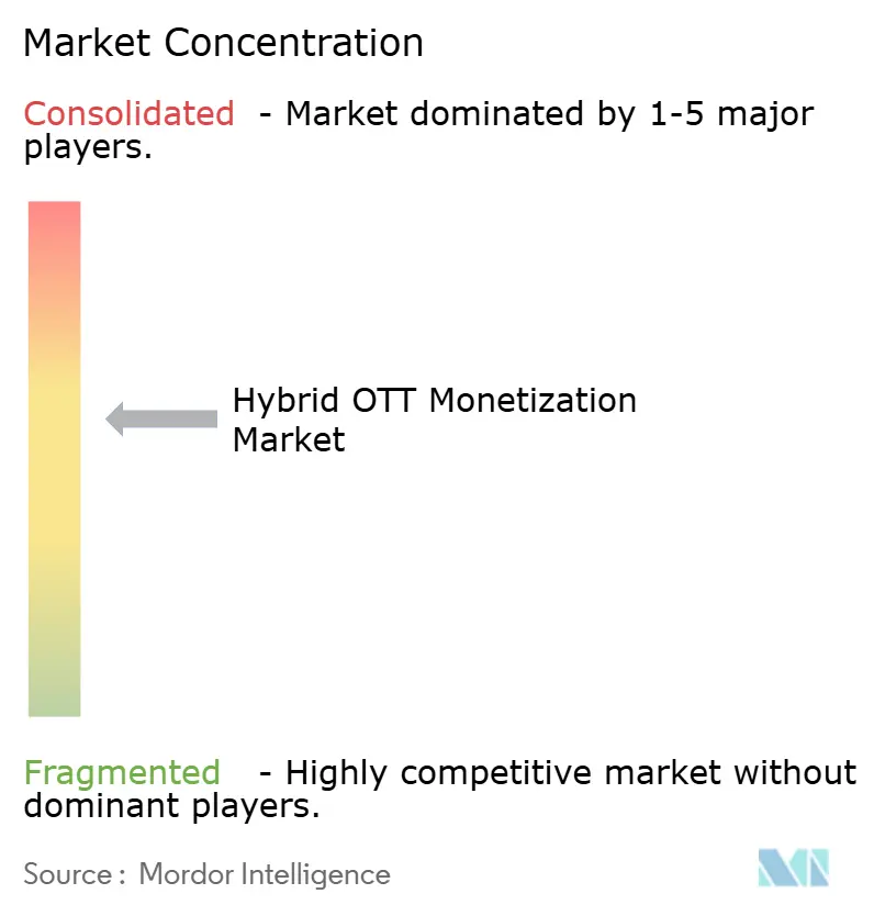 Hybrid OTT Monetization Market Concentration