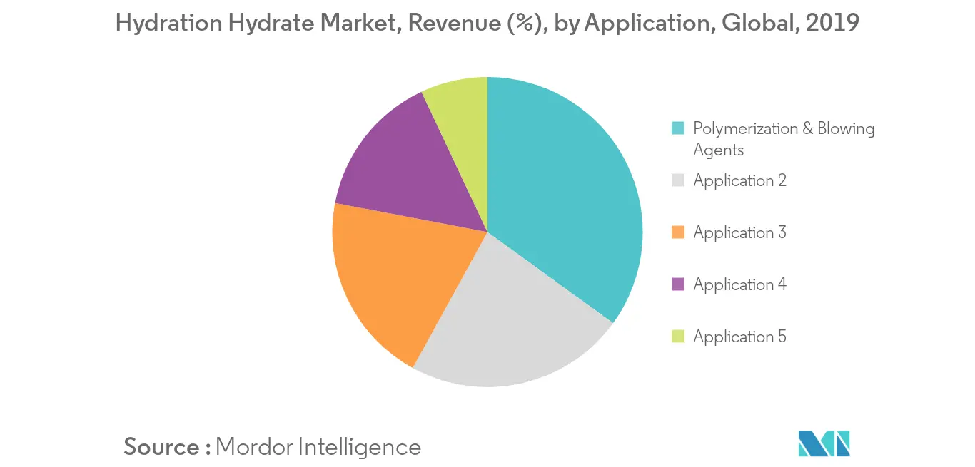 Hydration Hydrate Market Revenue Share
