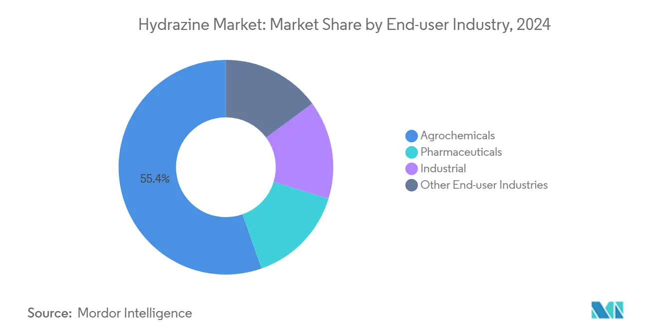 하이드라진 시장: 최종 사용자 산업별 시장 점유율