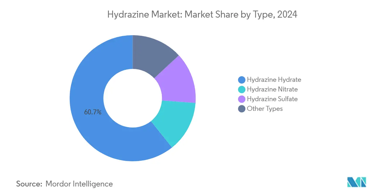 하이드라진 시장: 유형별 시장 점유율