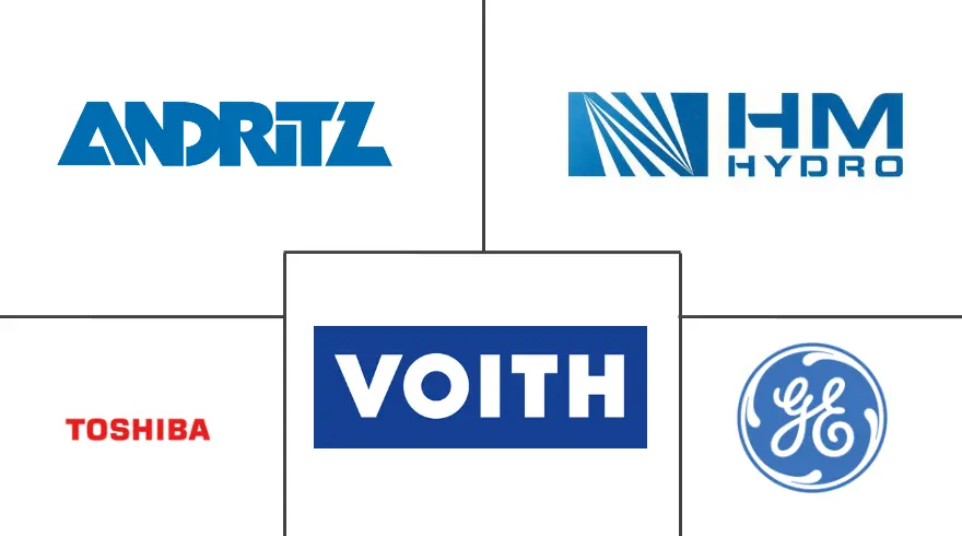 Acteurs majeurs du marché des générateurs hydroélectriques