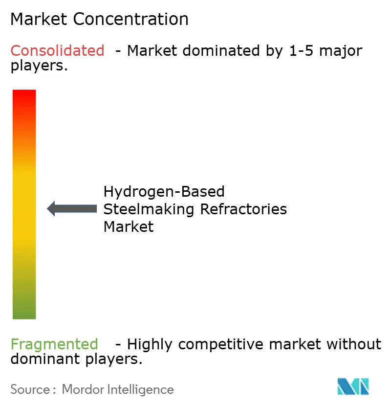 Hydrogen-Based Steelmaking Refractories Market Concentration