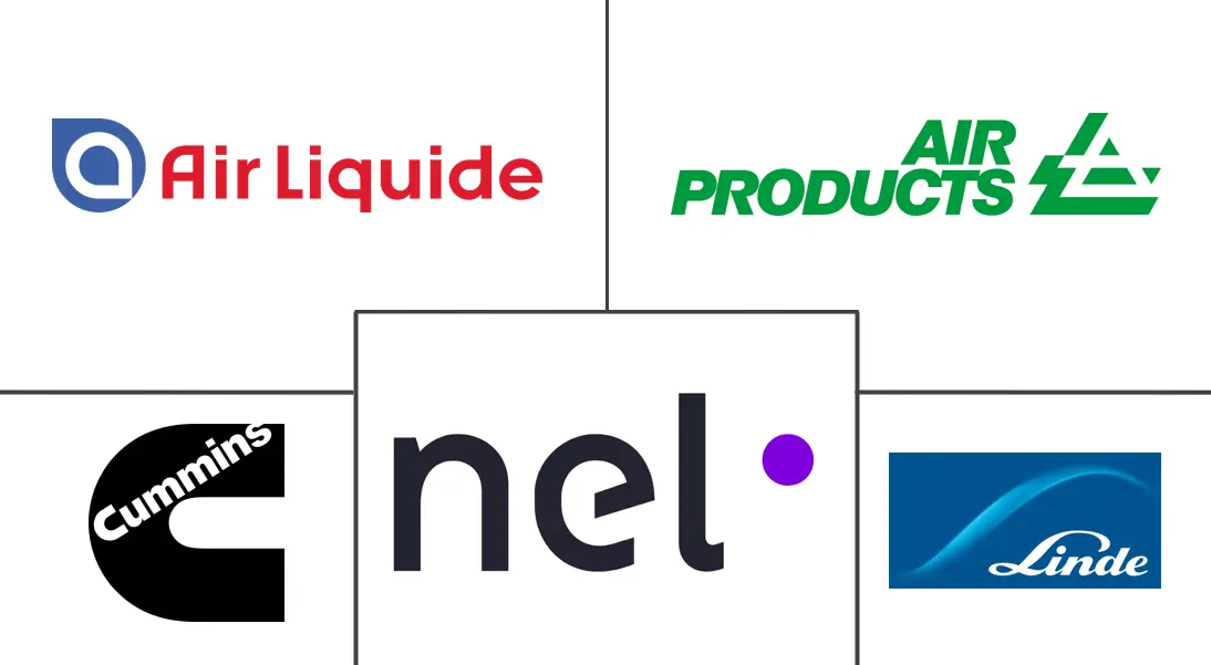 Major players in Hydrogen Gas Generator industry