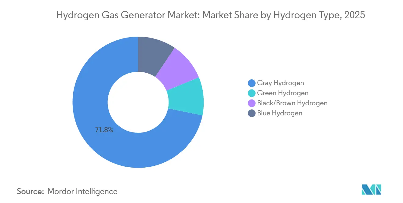 Hydrogen Gas Generator Market Share by Hydrogen Type, 2025