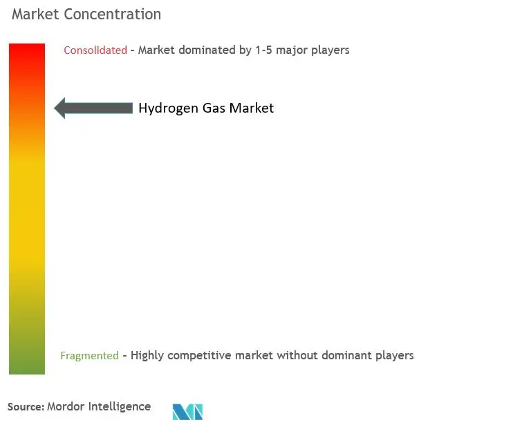 Hydrogen Gas Market Concentration