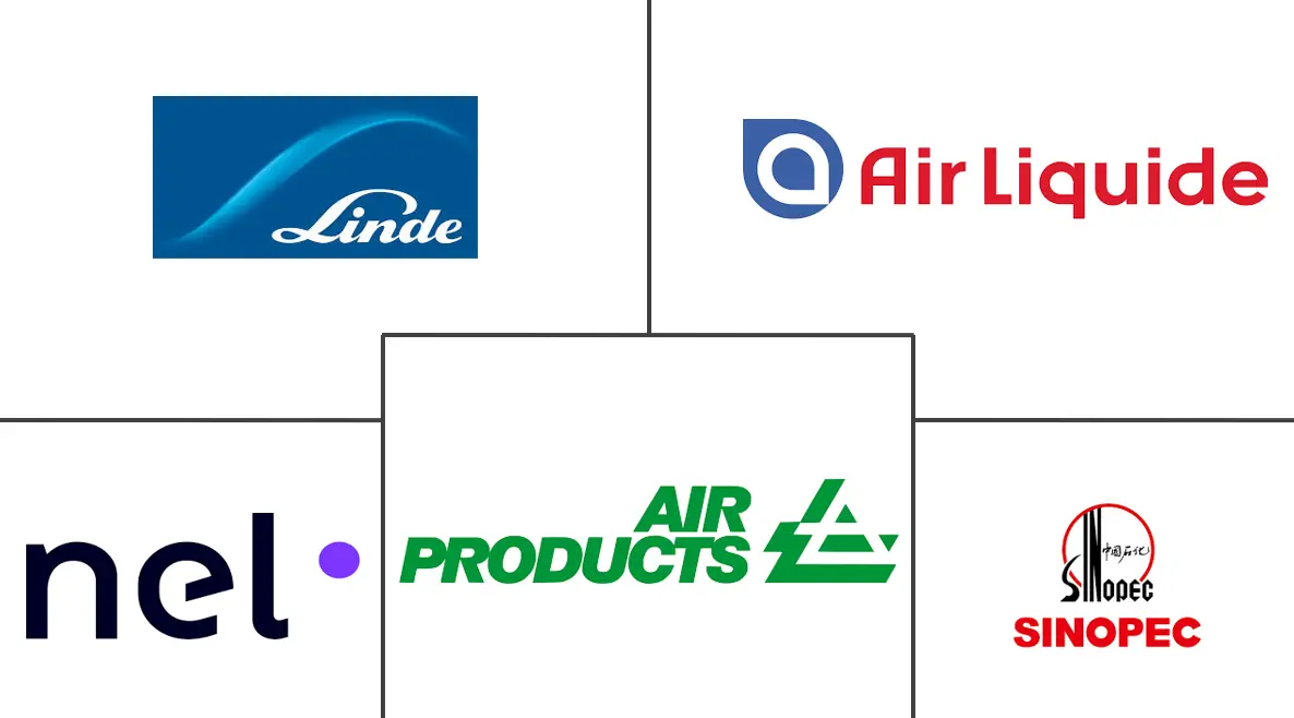 Major players in Hydrogen Generation industry