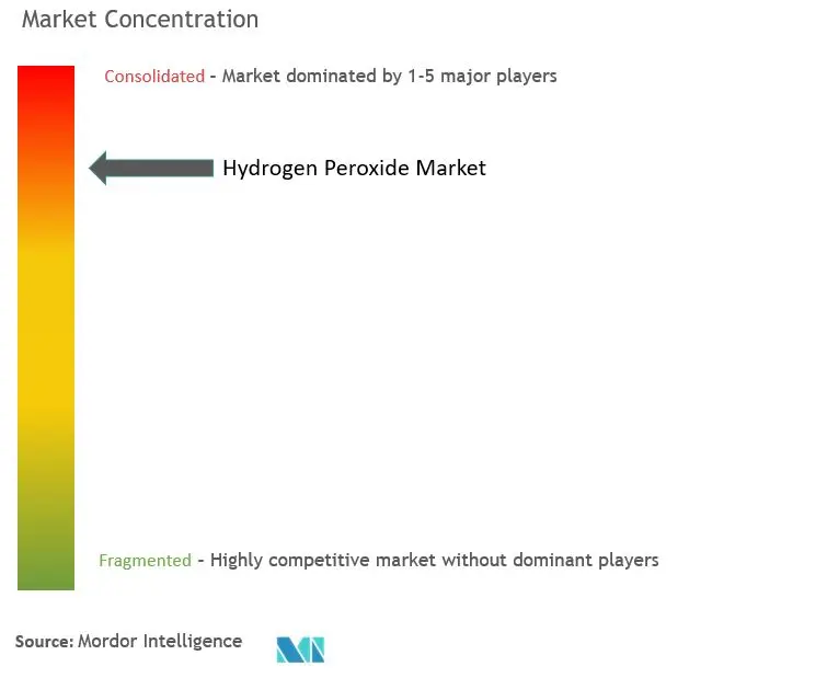 Hydrogen Peroxide Market Concentration