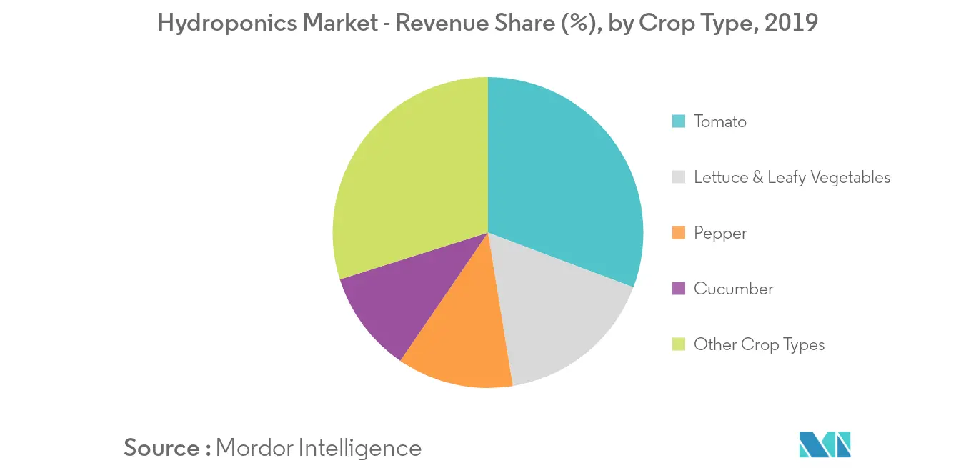Hydroponics Market Growth Trends And Forecasts 2019 2024