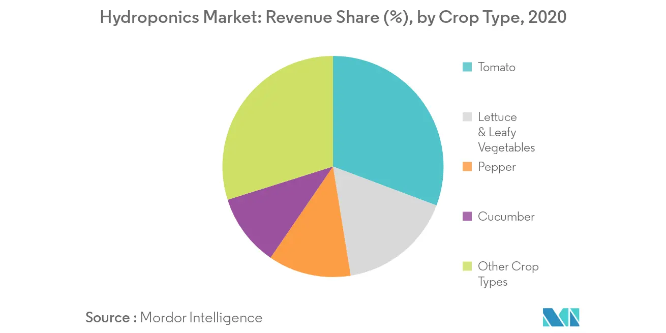 Hydroponics Market : Revenue Share (%), by Crop Type, 2019
