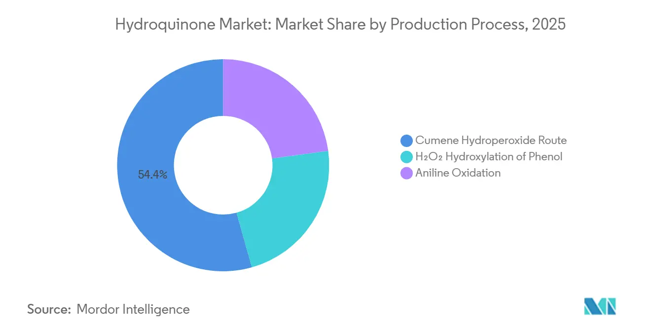 Hydroquinone Market Share by Production Process, 2025