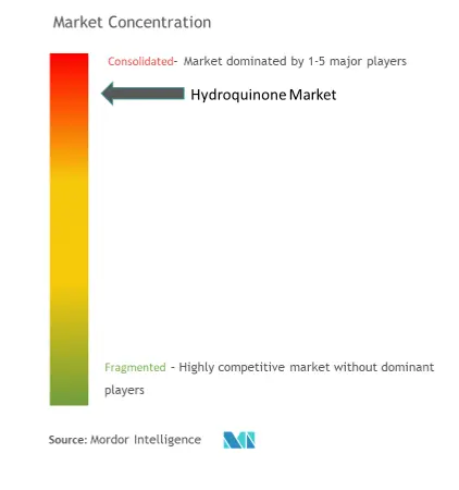 Hydroquinone Market Concentration
