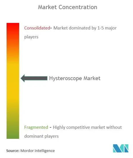 Global Hysteroscope Market Concentration