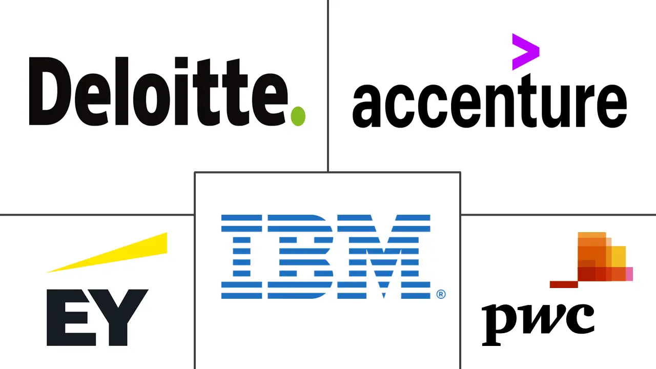 Major players in IAM Professional Services industry