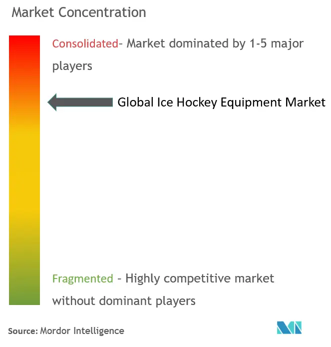Équipement de hockey sur glaceConcentration du marché