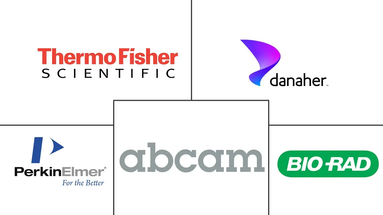 Related Companies Logo
