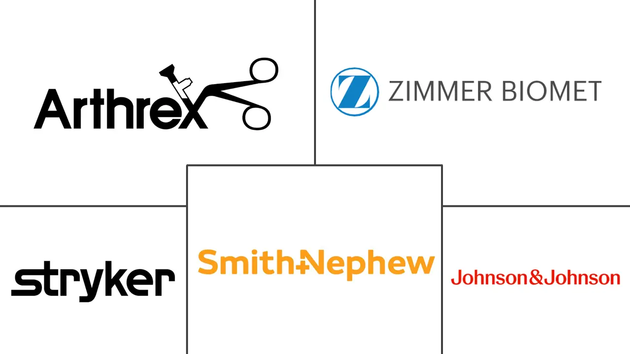 Major players in Impingement Syndrome industry