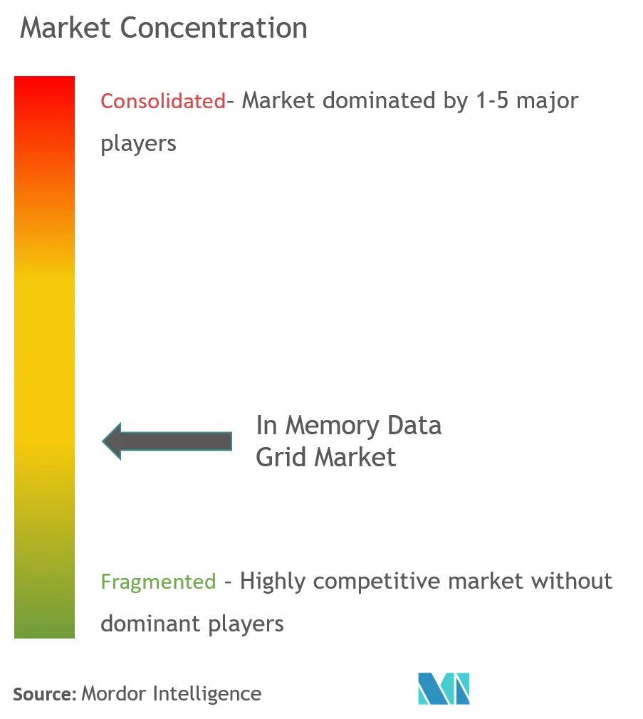 In Memory Data Grid Market Concentration