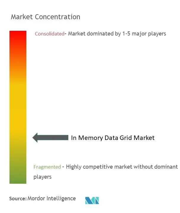 インメモリーデータグリッド市場の集中度