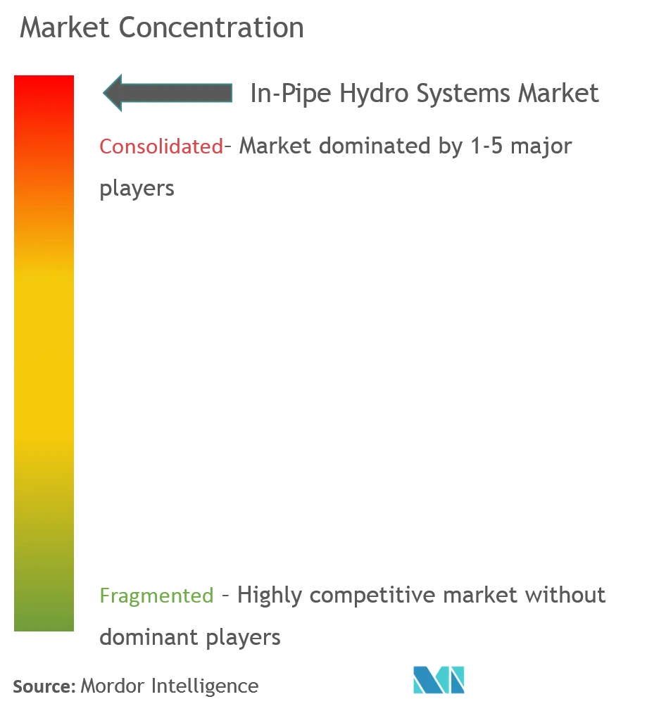 Systèmes hydroélectriques dans les canalisationsConcentration du marché